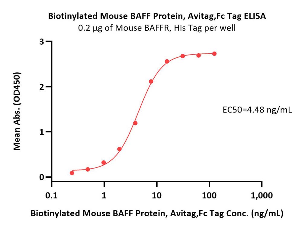  BAFF ELISA