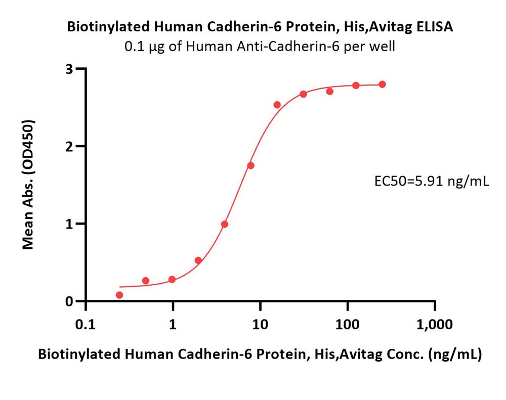  Cadherin-6 ELISA