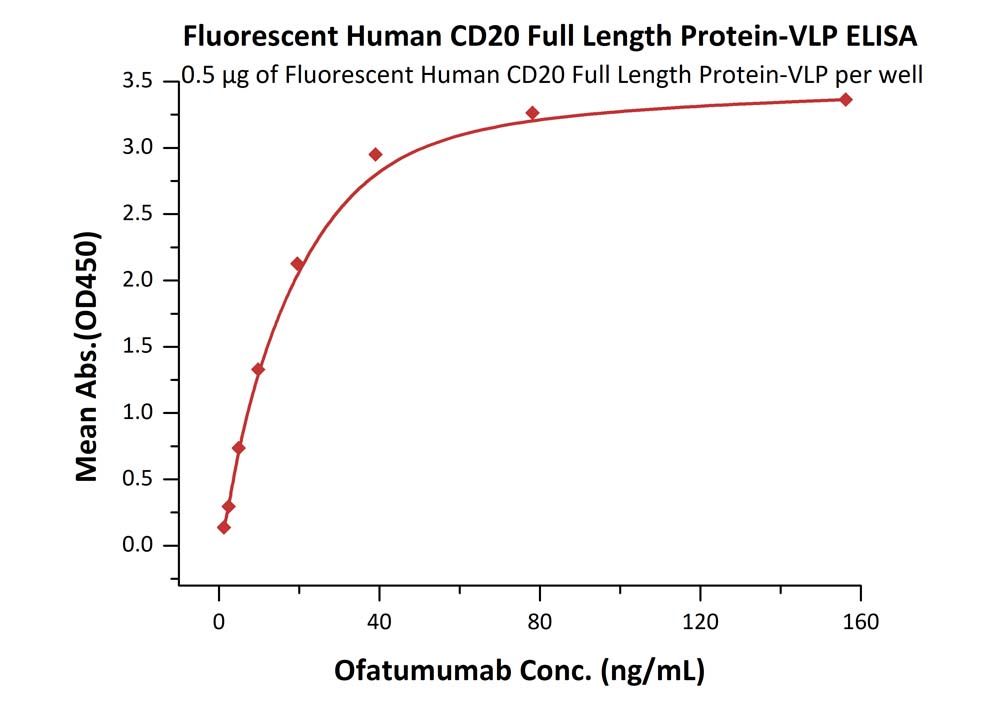  CD20 ELISA