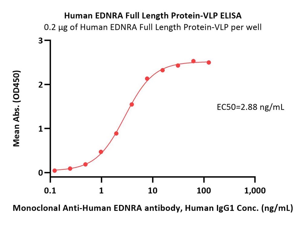  EDNRA ELISA