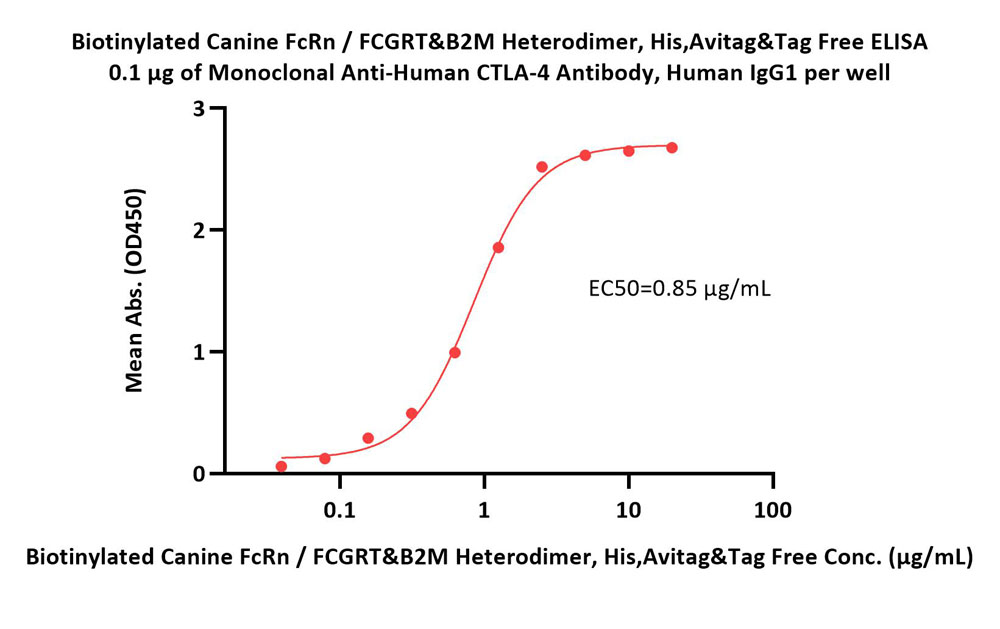  FcRn (FCGRT & B2M) ELISA