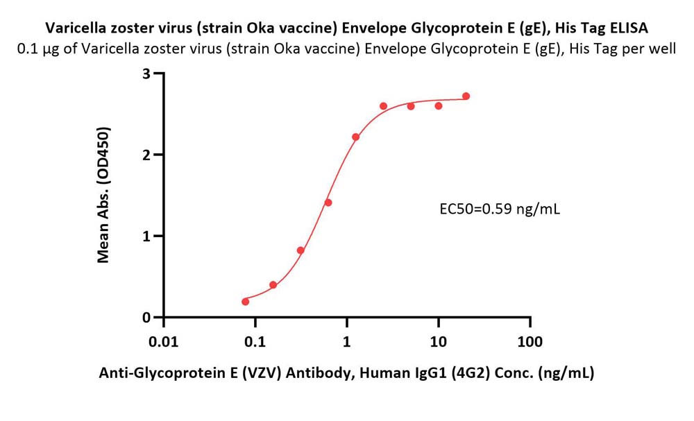  Glycoprotein E (VZV) ELISA