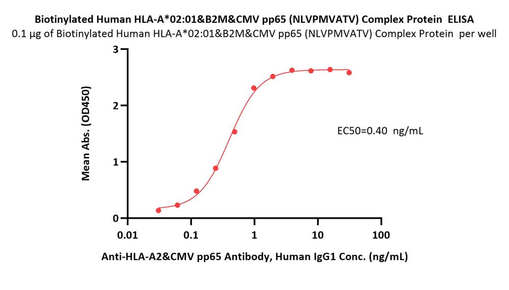  HLA-A*0201 & B2M & CMV pp65 ELISA