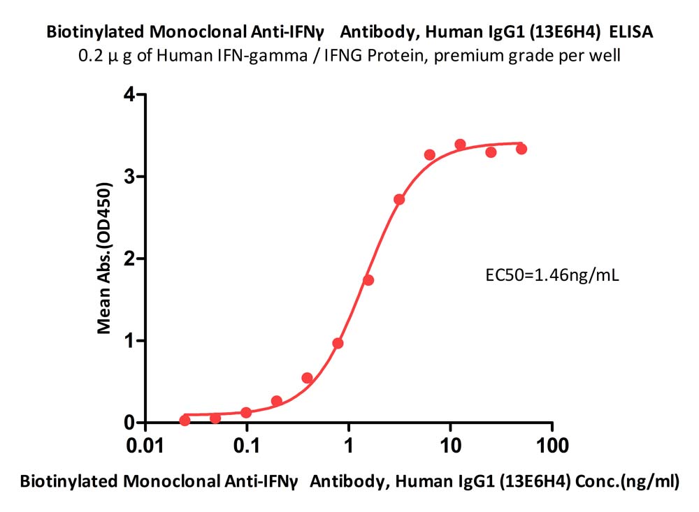  IFN-gamma ELISA