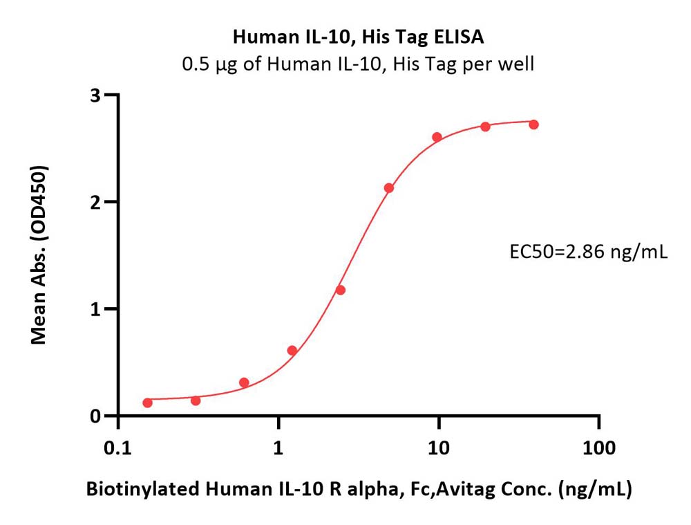  IL-10 ELISA