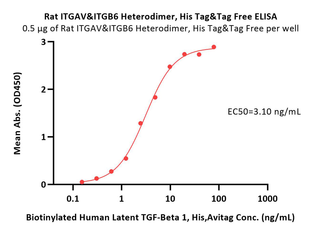  Integrin alpha V beta 6 ELISA