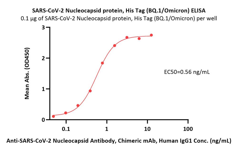  Nucleocapsid protein ELISA