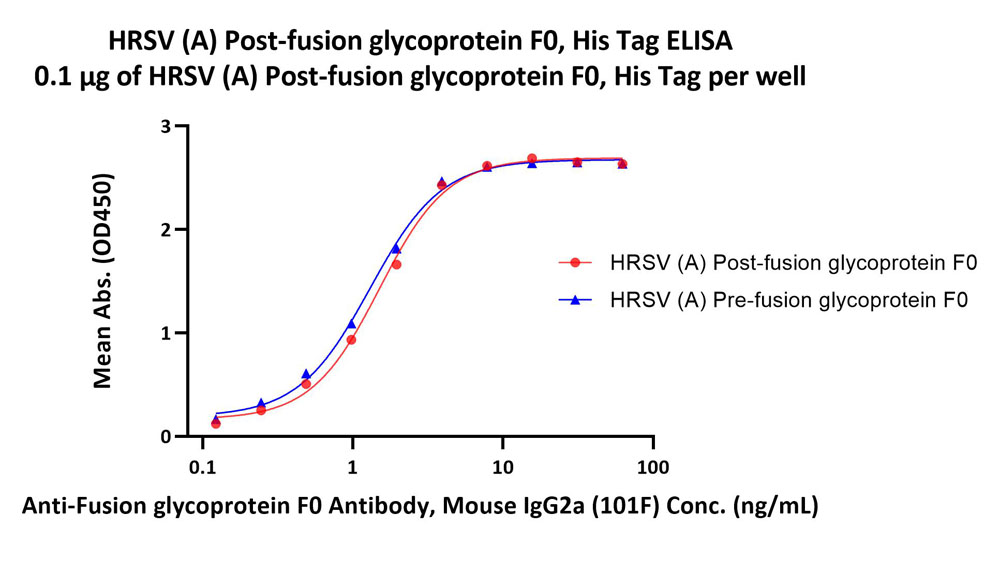  Postfusion glycoprotein F0/post-F protein (RSV) ELISA