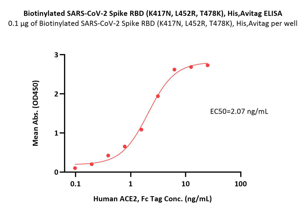  Spike RBD ELISA