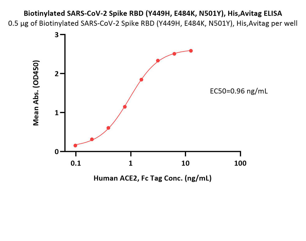  Spike RBD ELISA