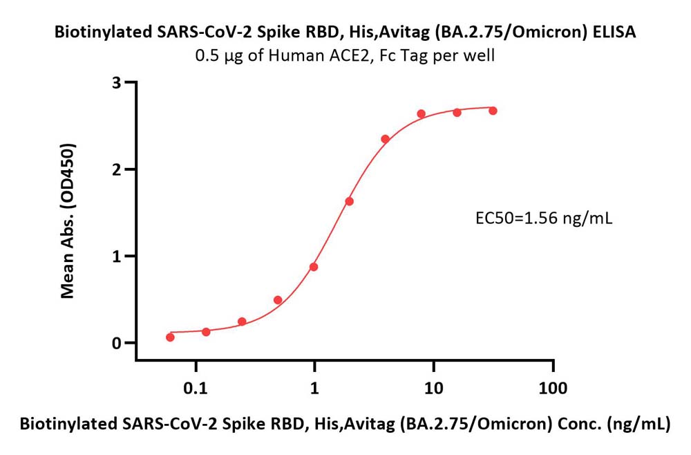  Spike RBD ELISA