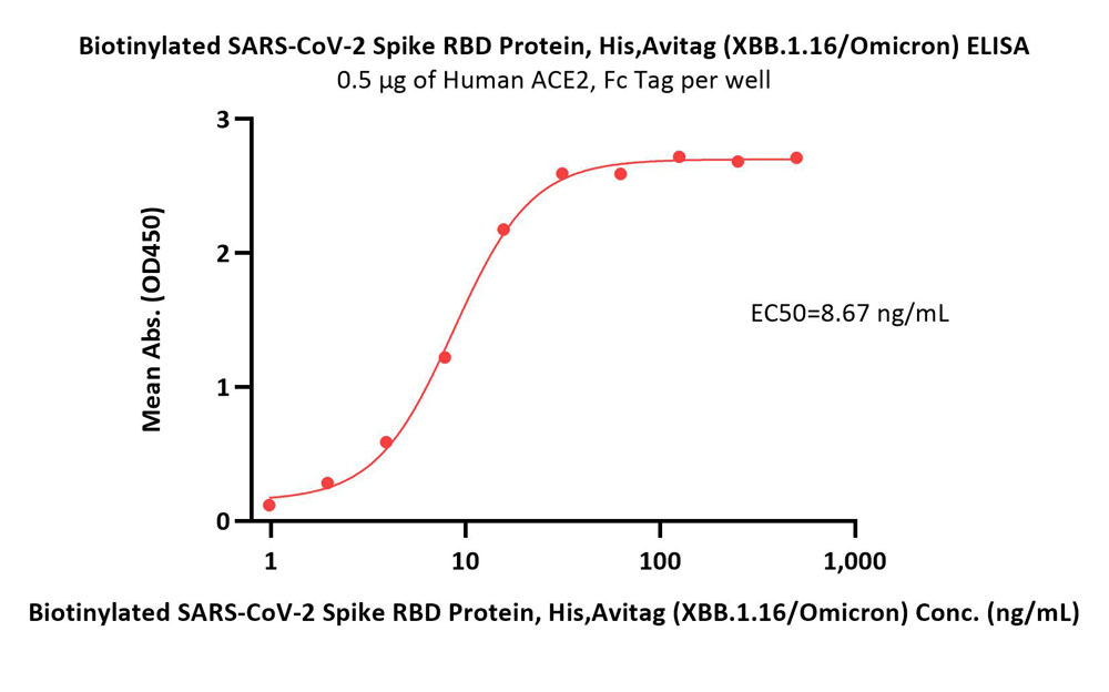  Spike RBD ELISA