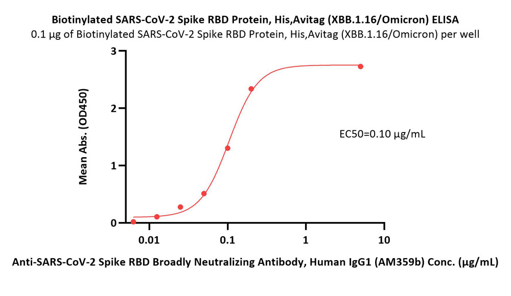  Spike RBD ELISA