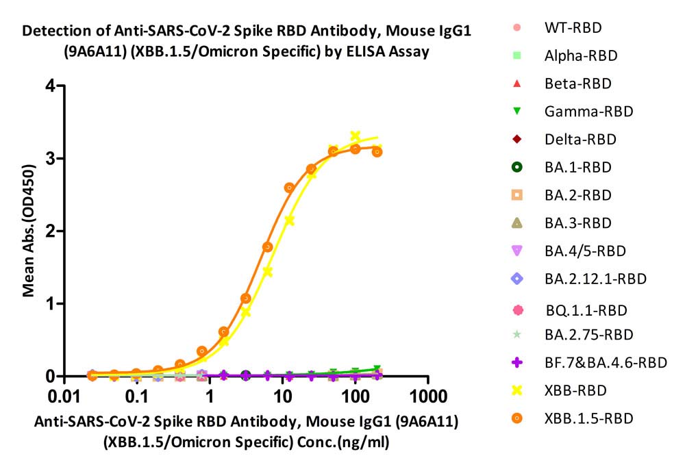  Spike RBD ELISA