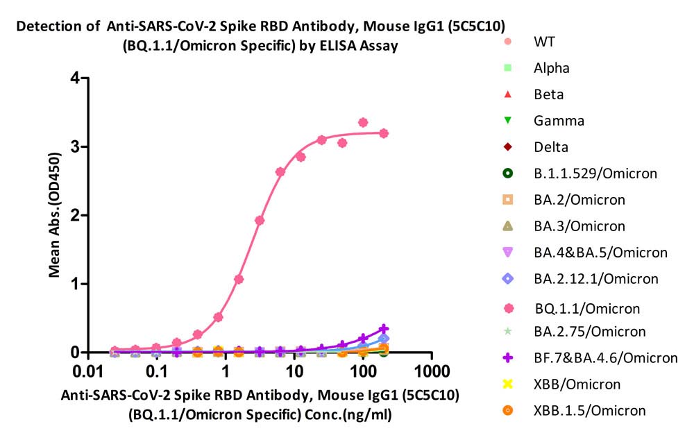  Spike RBD ELISA