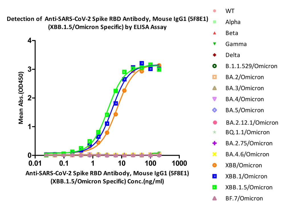  Spike RBD ELISA