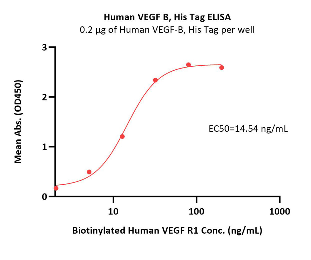  VEGF-B ELISA