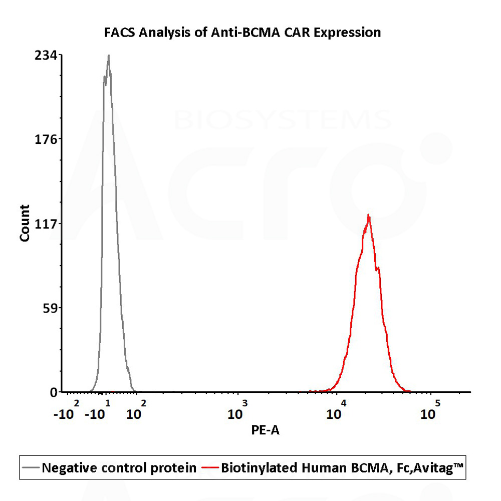  BCMA FACS