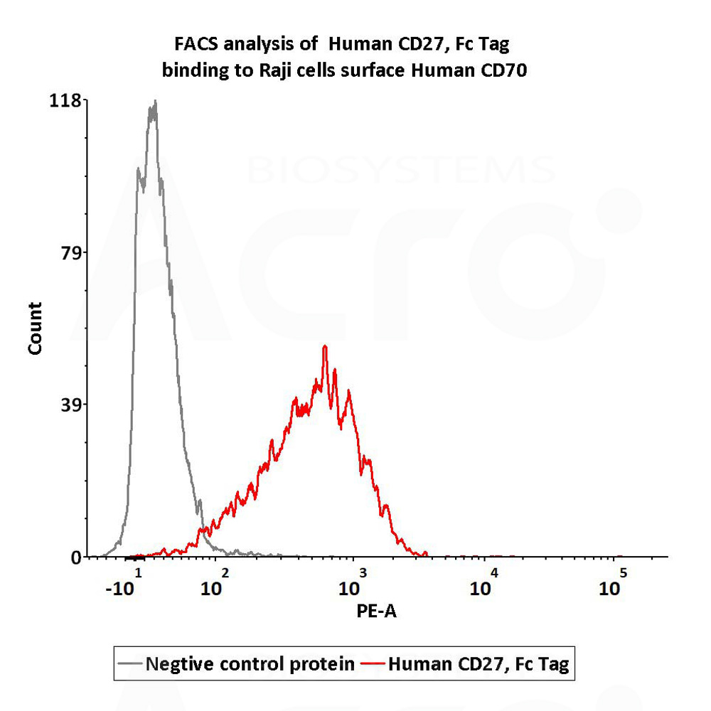  CD27 FACS