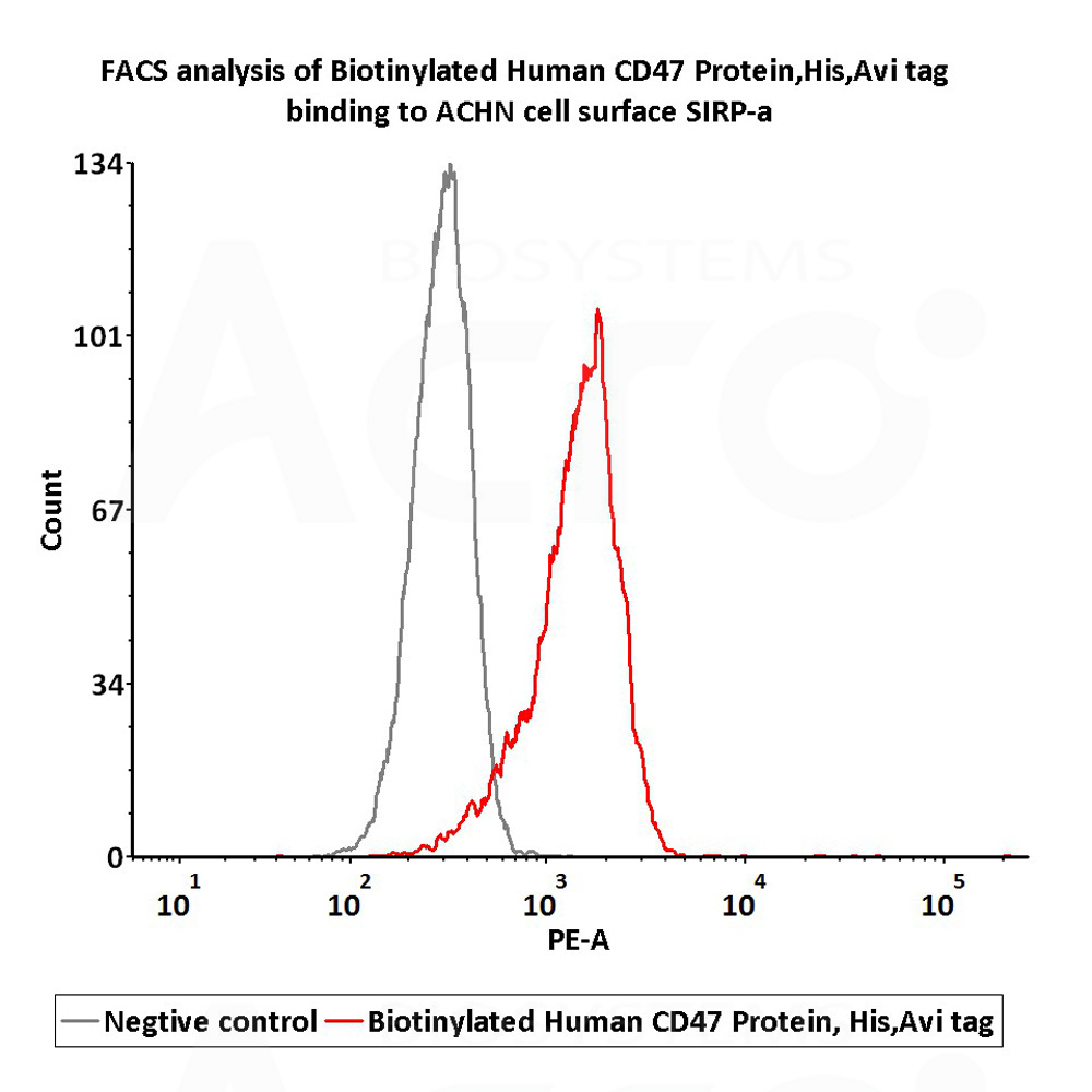  CD47 FACS