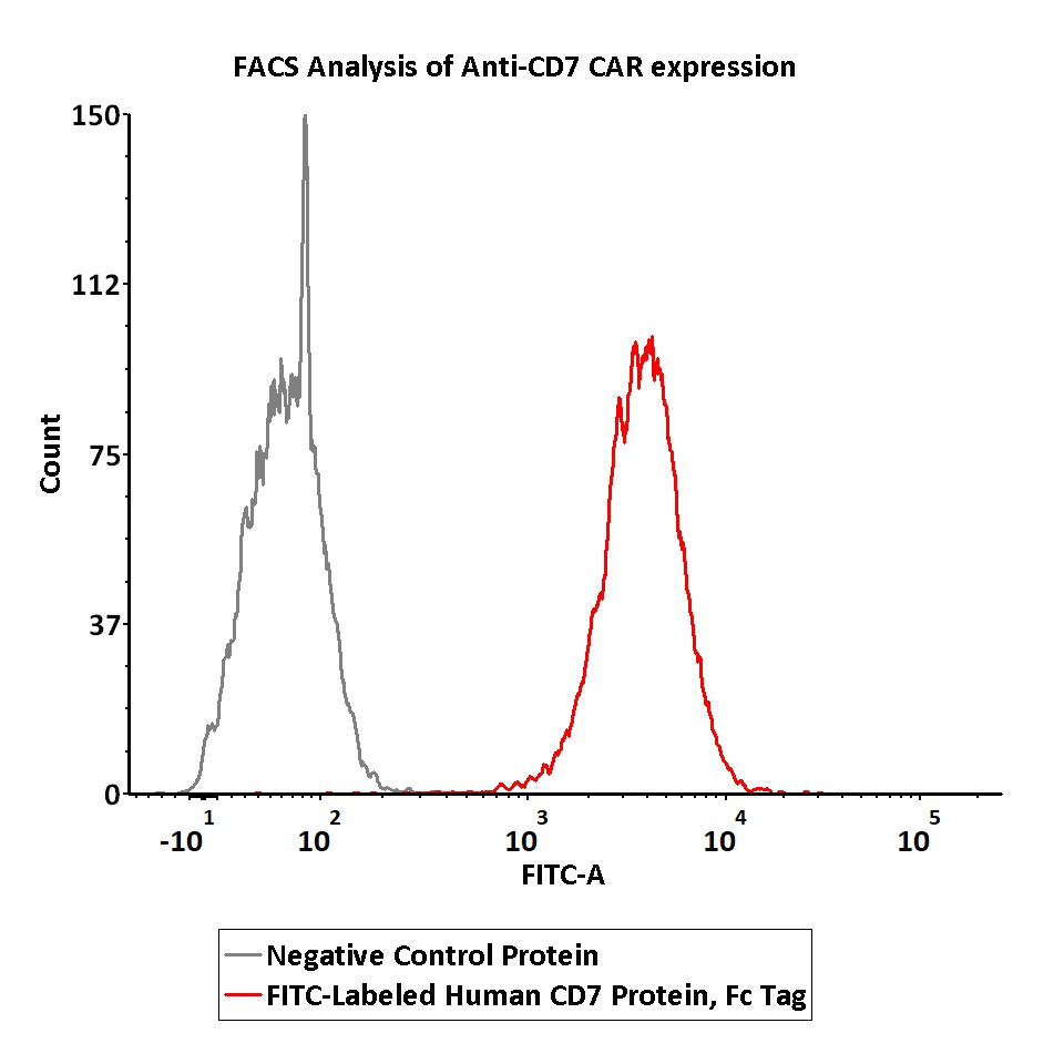  CD7 FACS