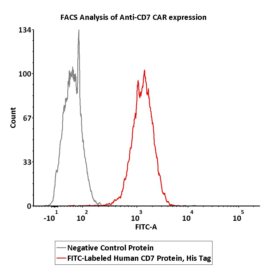  CD7 FACS