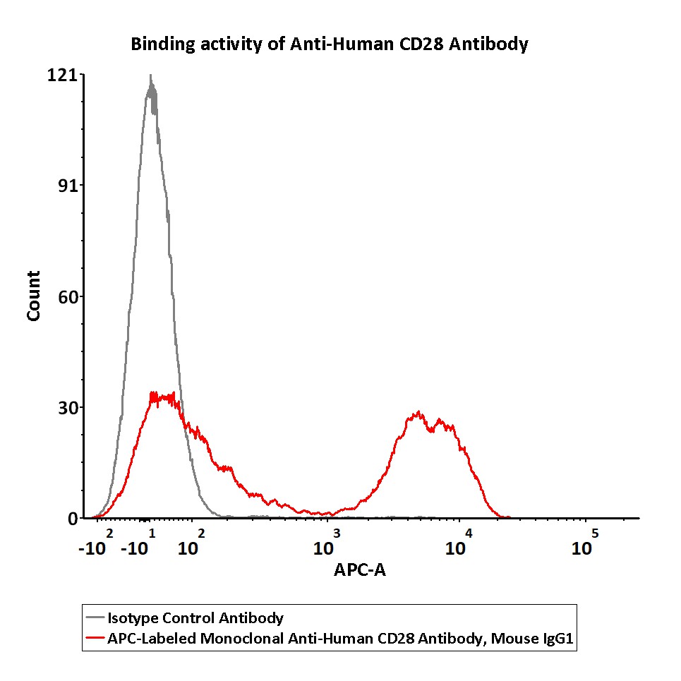  CD28 FACS