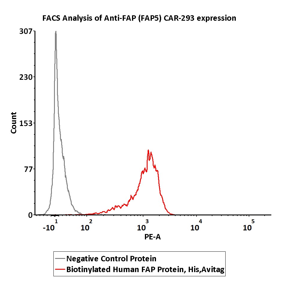  FAP FACS