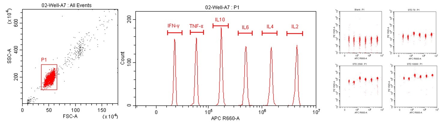  Th1/Th2 cytokine FACS