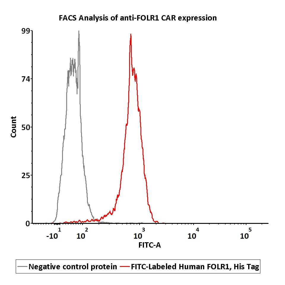  FOLR1 FACS