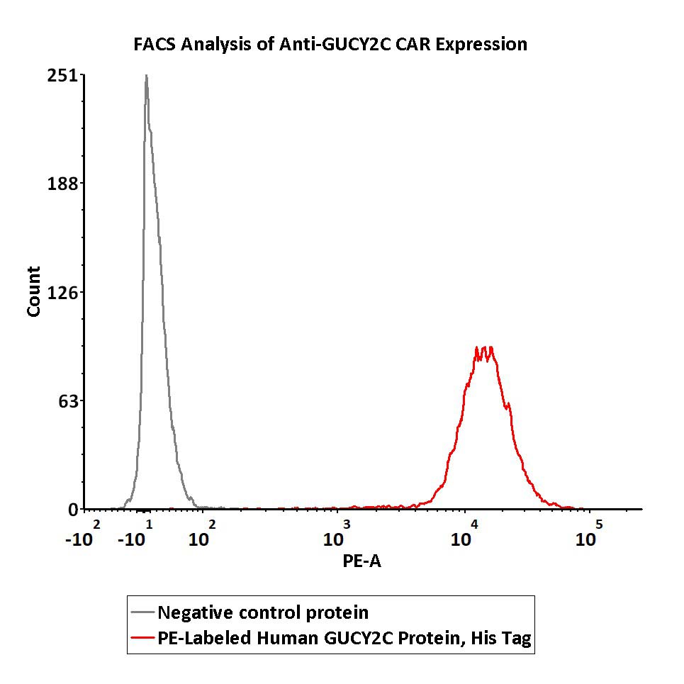 FACS assay shows that recombinant Biotinylated FACS