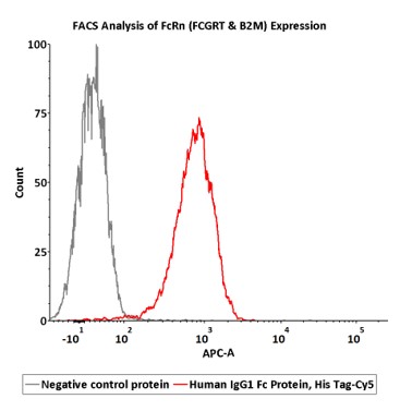  IgG1 Fc FACS