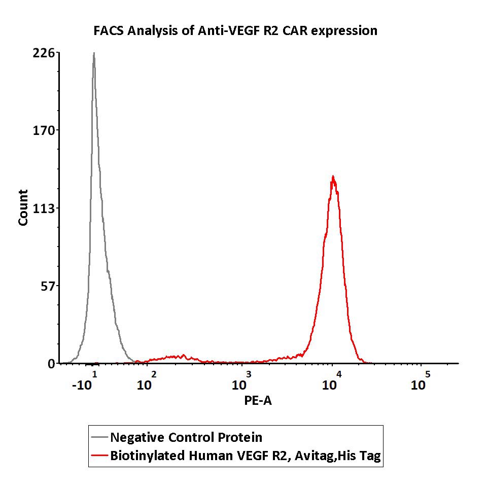  VEGF R2 FACS