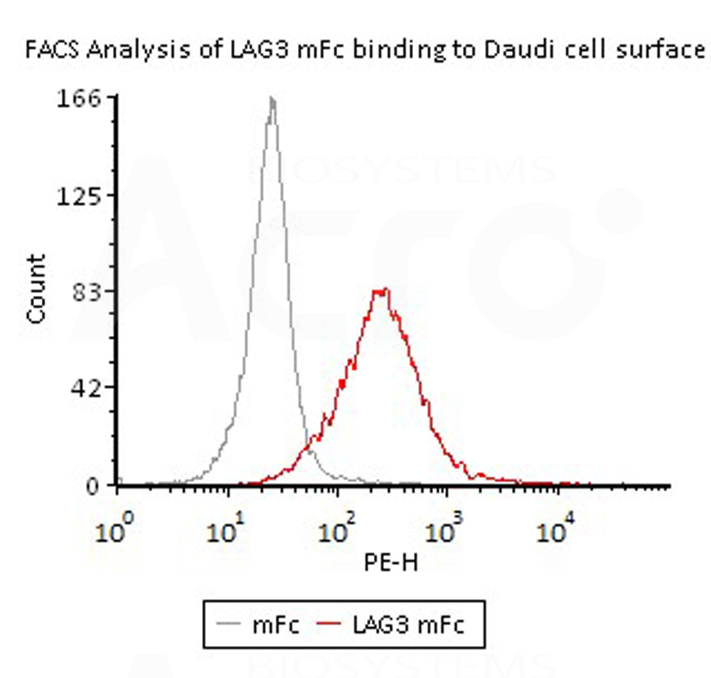  LAG-3 FACS