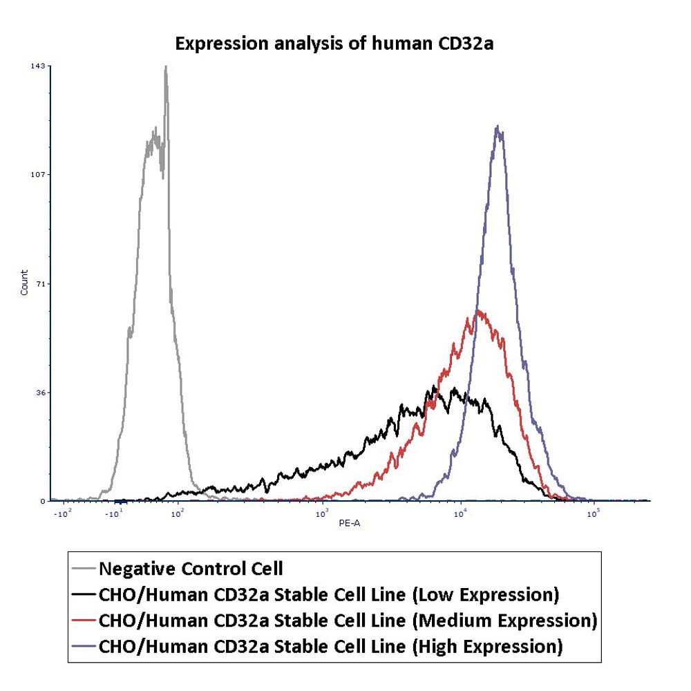  Fc gamma RIIA / CD32a FACS