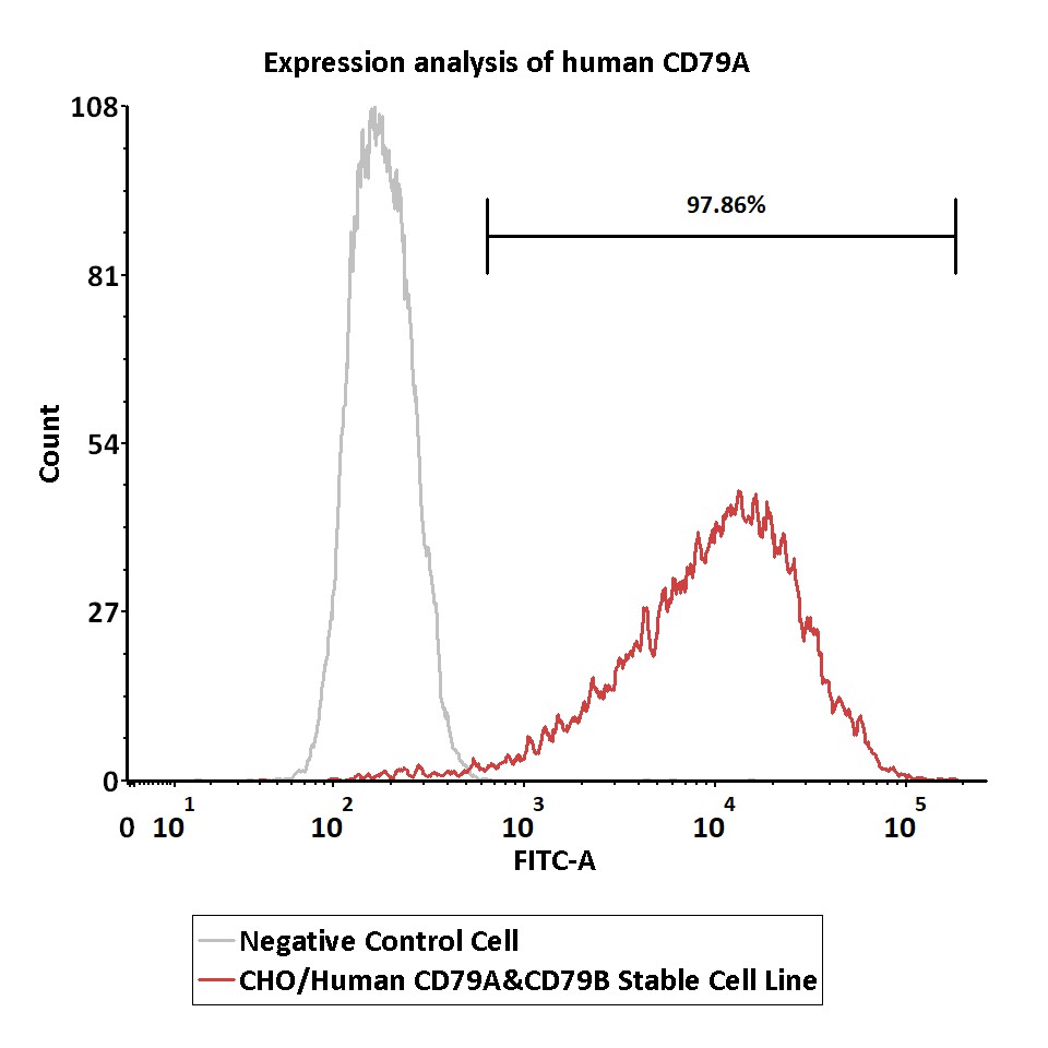  CD79A & CD79B FACS