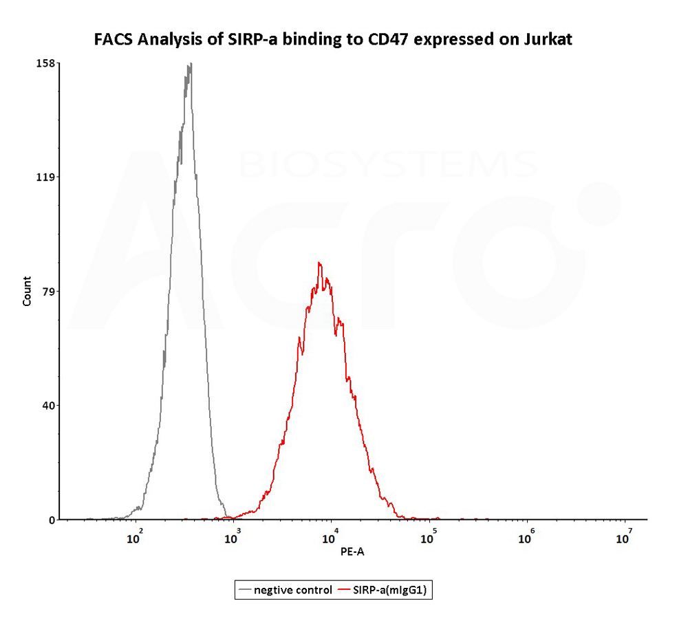  SIRP alpha FACS