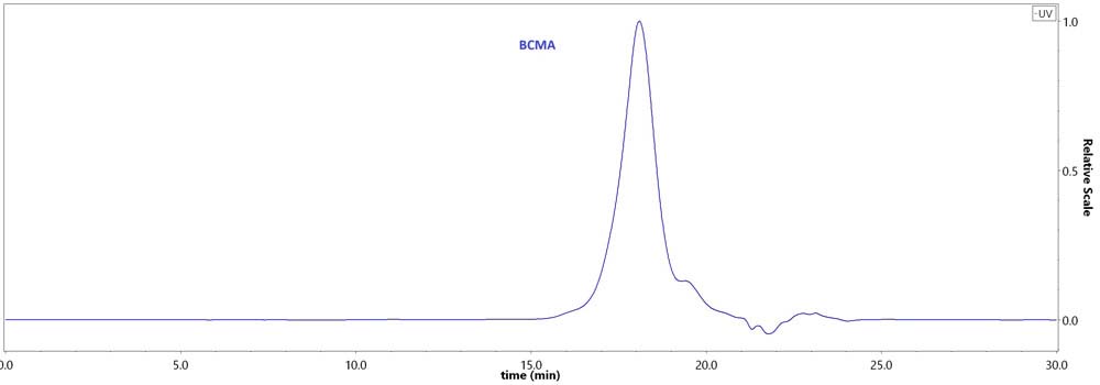 BCA-H82E4-hplc