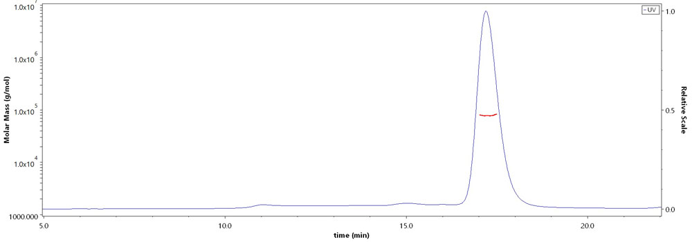 Serum Albumin MALS images