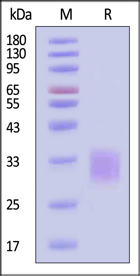 ACA-H82Q3-sds