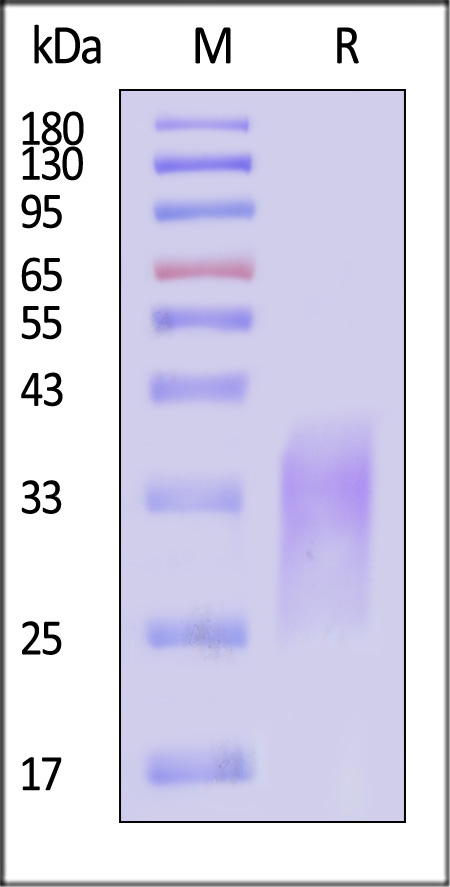 ACB-M52H5-sds