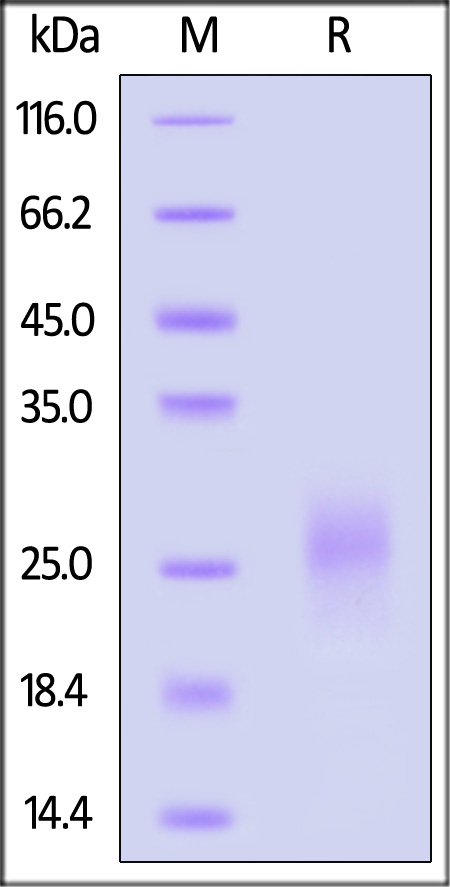 AL3-H52H9-sds