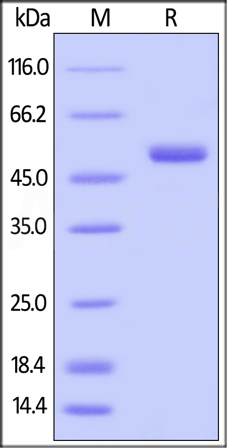 BAF-H82F3-sds