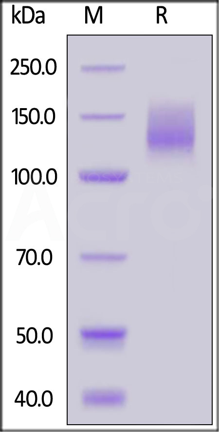 CA5-H82F8-sds