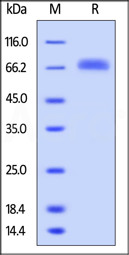 CDC-H5220-sds