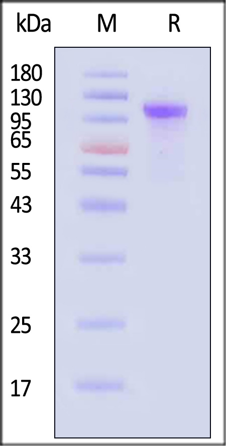 CO2-D82E4-sds