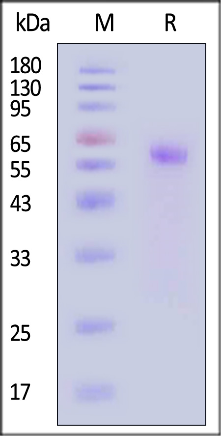 CT4-M82F3-sds