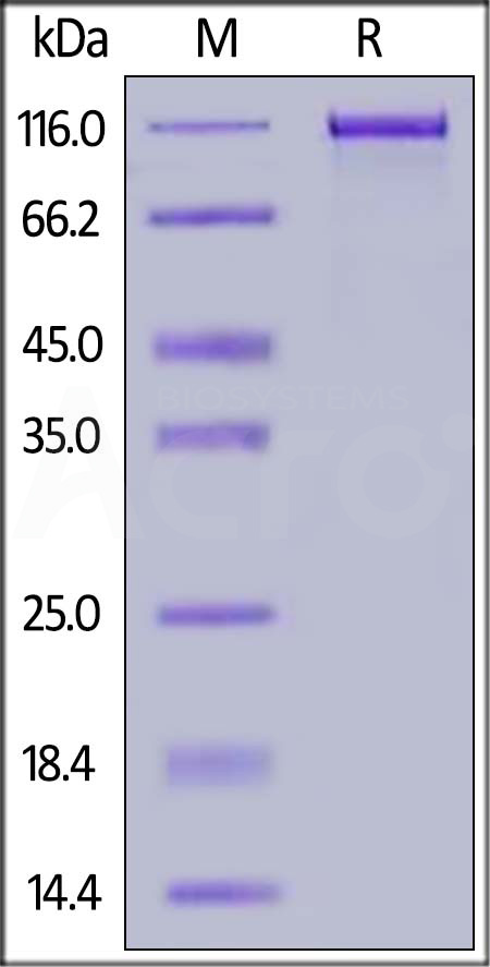 ER3-H5257-sds