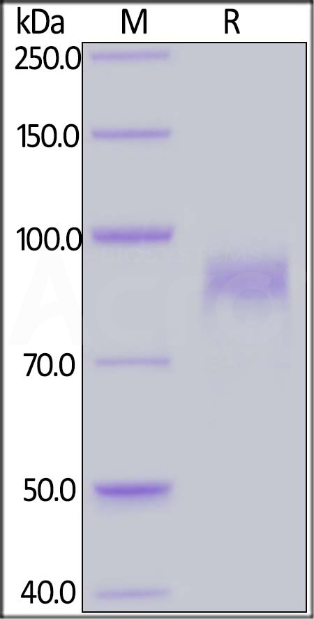 ER3-H8223-sds