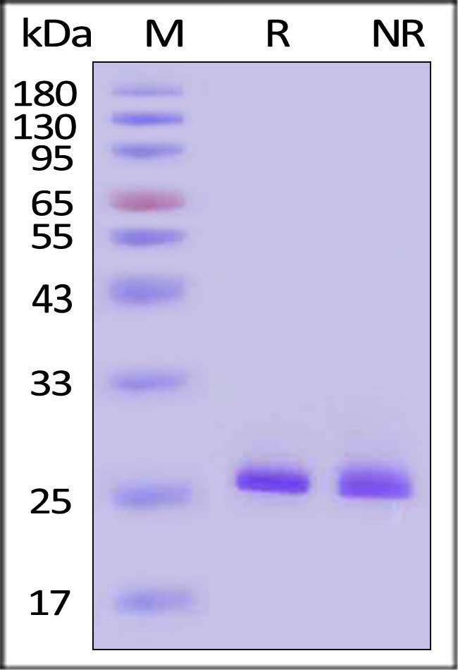 FGB-H5115-sds